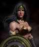 Фигурка Wonder Woman Pack 1 — Version 2