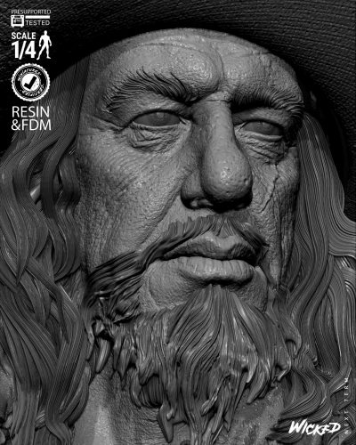 Фигурка Barbossa Portrait Bust
